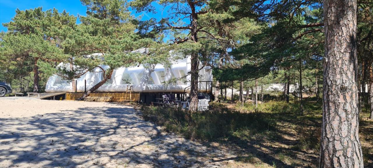 Sub Hel. Budzetowe Pokoje W Domu Z Basenem. Wokol Domu Tylko Natura. Balkon Zbyteczny. Εξωτερικό φωτογραφία